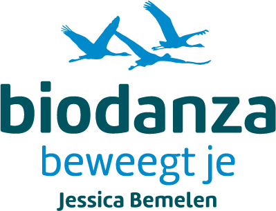 Biodanza Zwolle | biodanzametjessica
